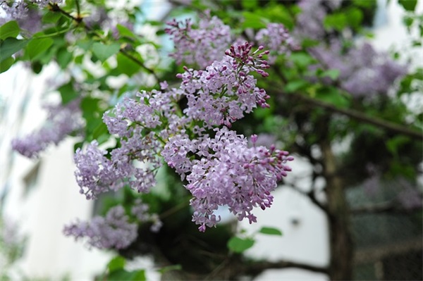 一个人好好生活的说说-80句