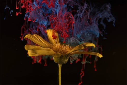 致逝去青春的优秀句子 (集锦60句)