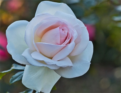 让朋友开心的幽默句子