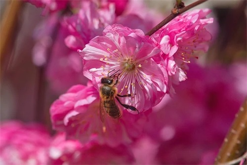 抖音最感人父爱短句 抖音最感人父爱短句图片