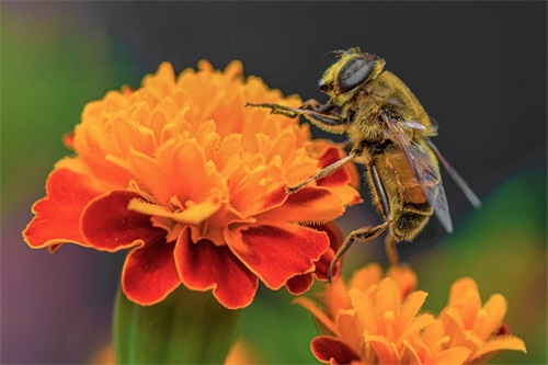 中考前的鼓励寄语-56句