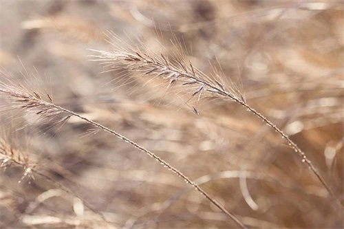 明信片给老师温暖寄语-49句