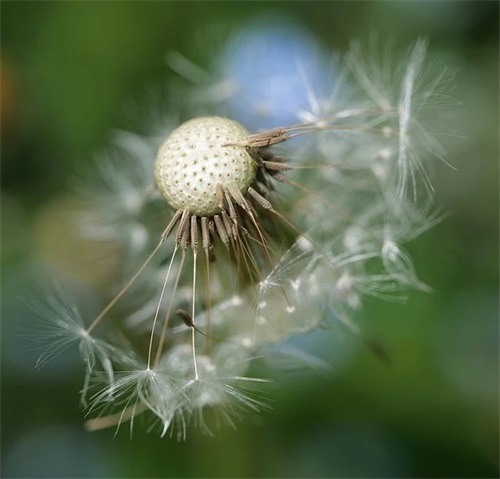 生日对女儿的生日寄语-51句