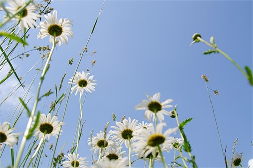 女宝宝寄语简短-57句