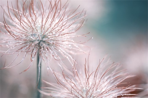 大学给新生的寄语-48句