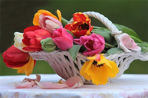 鼓励孩子不怕困难的寄语-50句