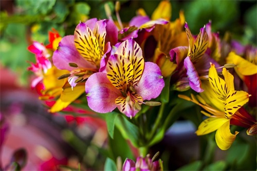 中考前寄语 鼓励学生-52句