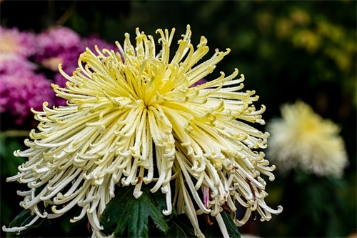 积极乐观正能量的句子(求积极向上的正能量句子)