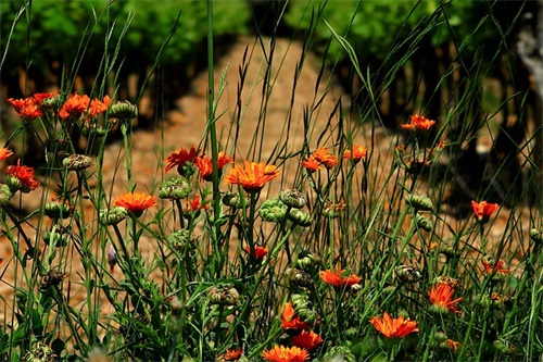 2025关于感悟人生哲理句子 2025最火感悟人生短句