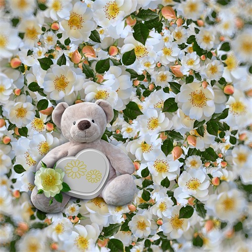 高三励志的句子82句