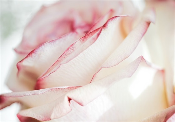 2025最火的幽默句子 拍一拍的设置幽默短句