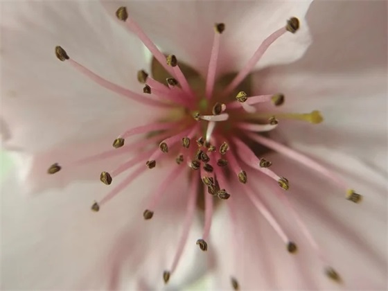 伤感句子短的90句