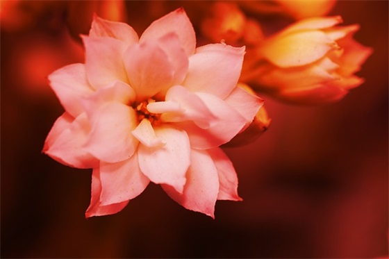 雾气很浓励志句子