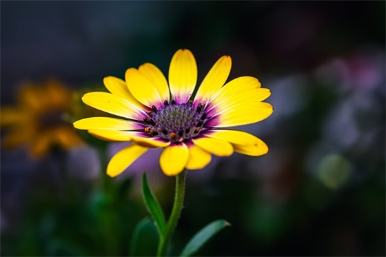 向前看的励志句子