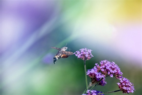 形容很难过的句子 形容心情不好的句子