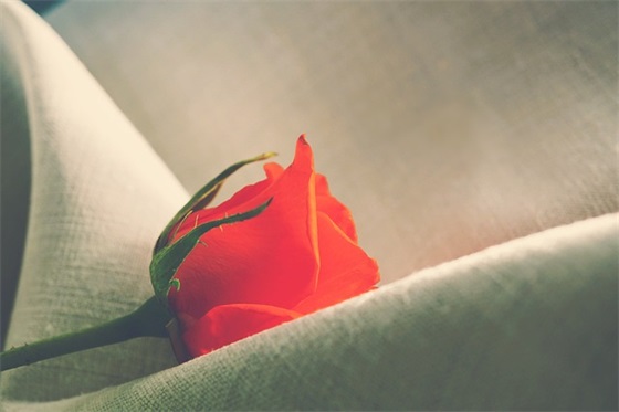 离不开一个人的短句 离不开一个人的句子