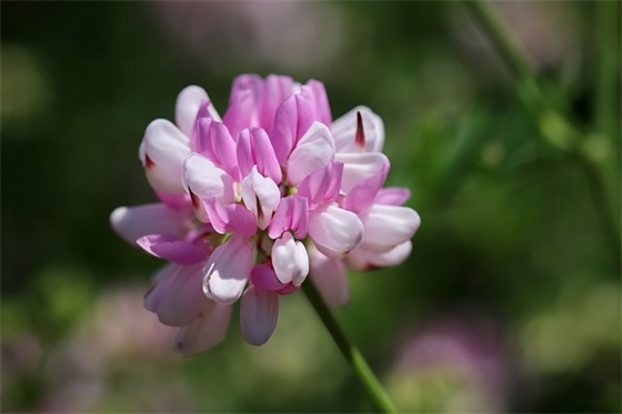 描写雨下得很大的句子