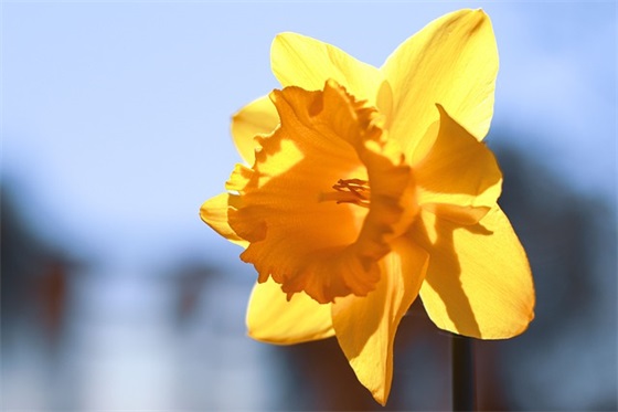 哲理句子精辟82句