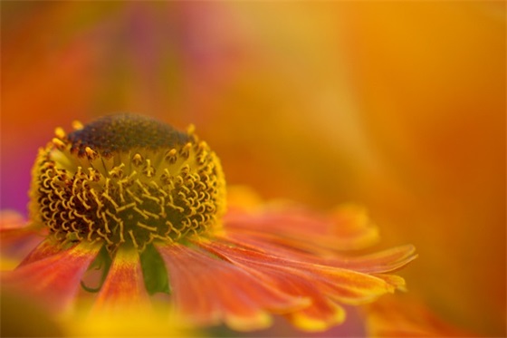 表示释怀和放下的句子 心累了想放弃这段感情