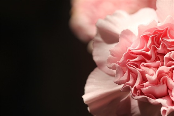 学期末教师对学生寄语-22句