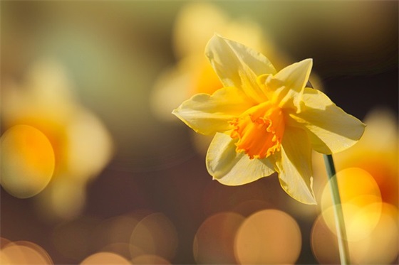 对兵儿子的期望和思念寄语不负自己-20句