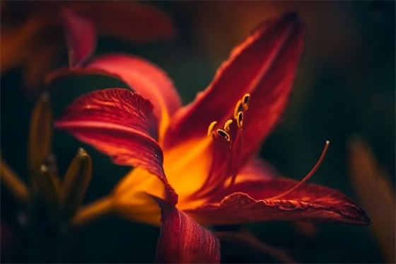 给员工正能量寄语-27句