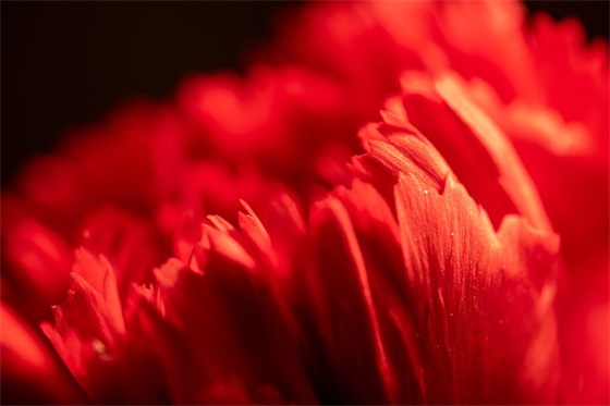 新学期写给老师的寄语简短-28句