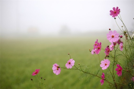 中班小朋友毕业寄语-24句