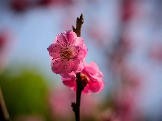 幼儿园父母寄语感谢老师-25句