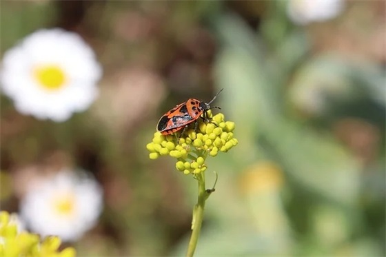 学生对老师的寄语应该怎么写-29句