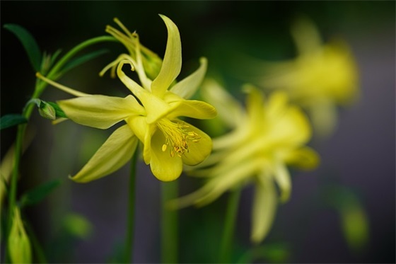 经典高三老师寄语鼓励-27句