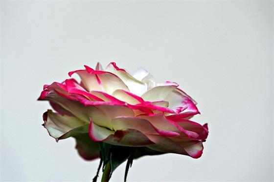 马上暑假了写给孩子的寄语-20句