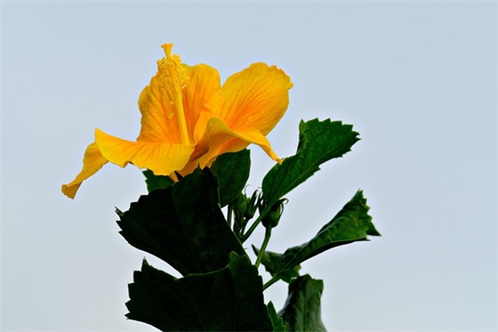 青春仪式上家长寄语-20句