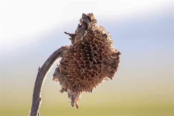 老员工给新员工寄语-20句