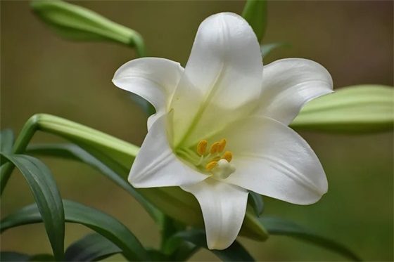 拓展训练家长寄语-26句