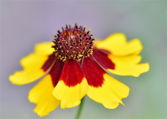 老师的希望寄语-20句