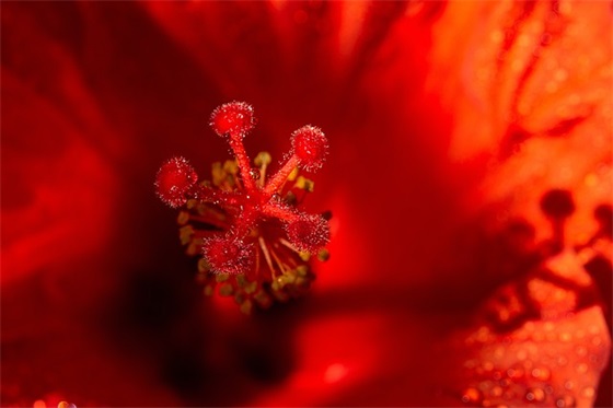 我对自己说寄语大全三年级-22句