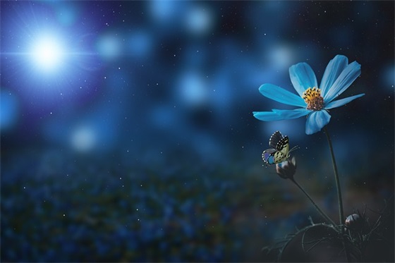 2025家长对幼儿的新年寄语-20句