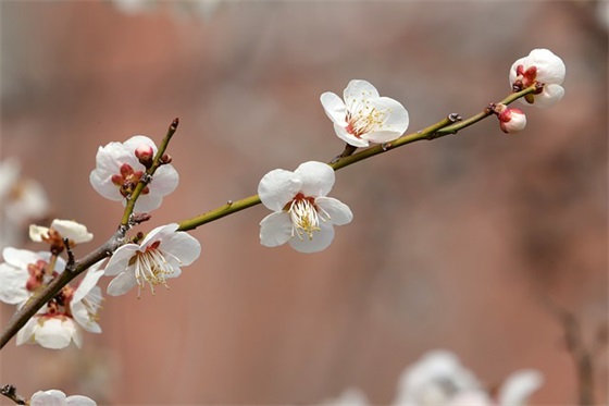 有关下雨天忧伤的心情句子