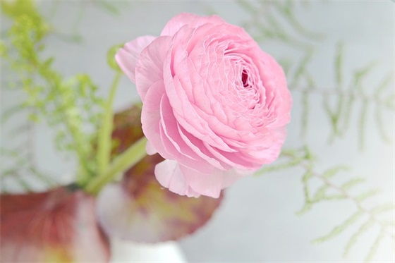 描写失眠的句子63句