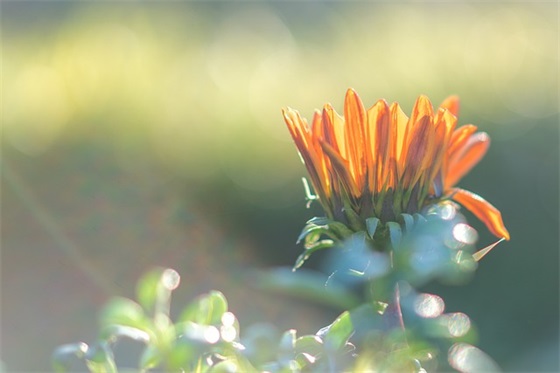 离不开你一个人的句子 特别离不开一个人的句子