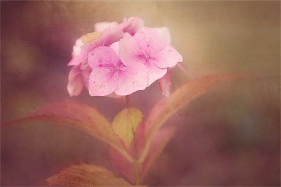 奋斗与坚持正能量句子 拼搏励志短句霸气