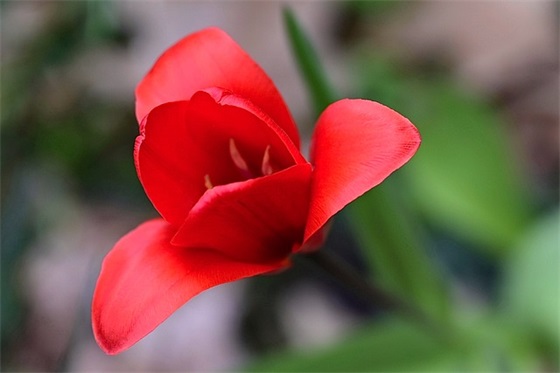 桀骜不驯又霸气的句子54句