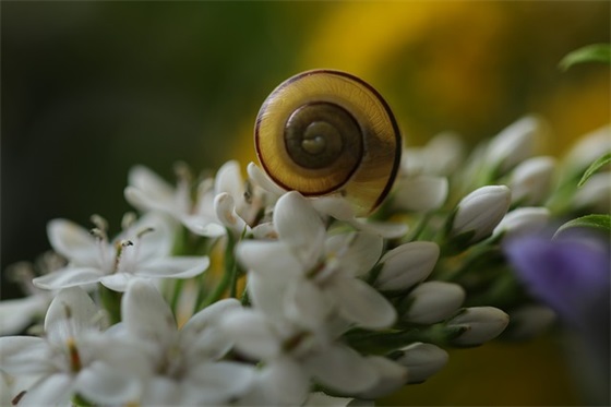 一句励志的话 励志自己努力的句子