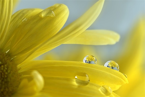 触及心灵的爱情句子