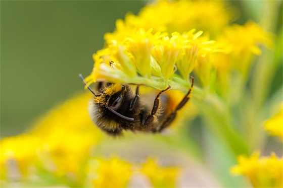关于挣钱的句子大全