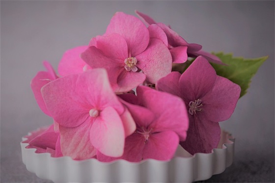 描写紧张的句子80句