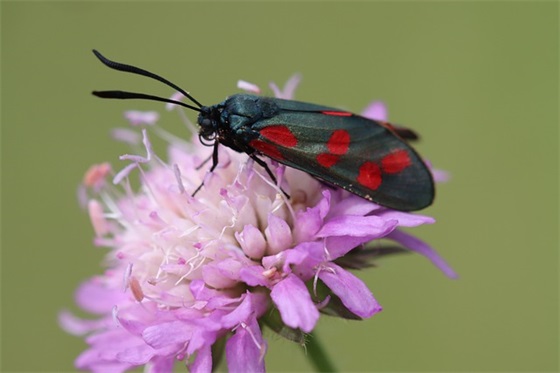 男人励志的句子 致青春的句子励志句子