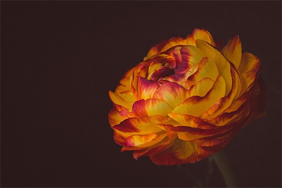 初中积累的写景唯美好句子