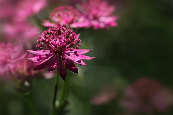 励志的句子不要太长82句